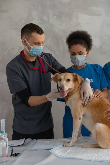 Healthcare staff photo 4